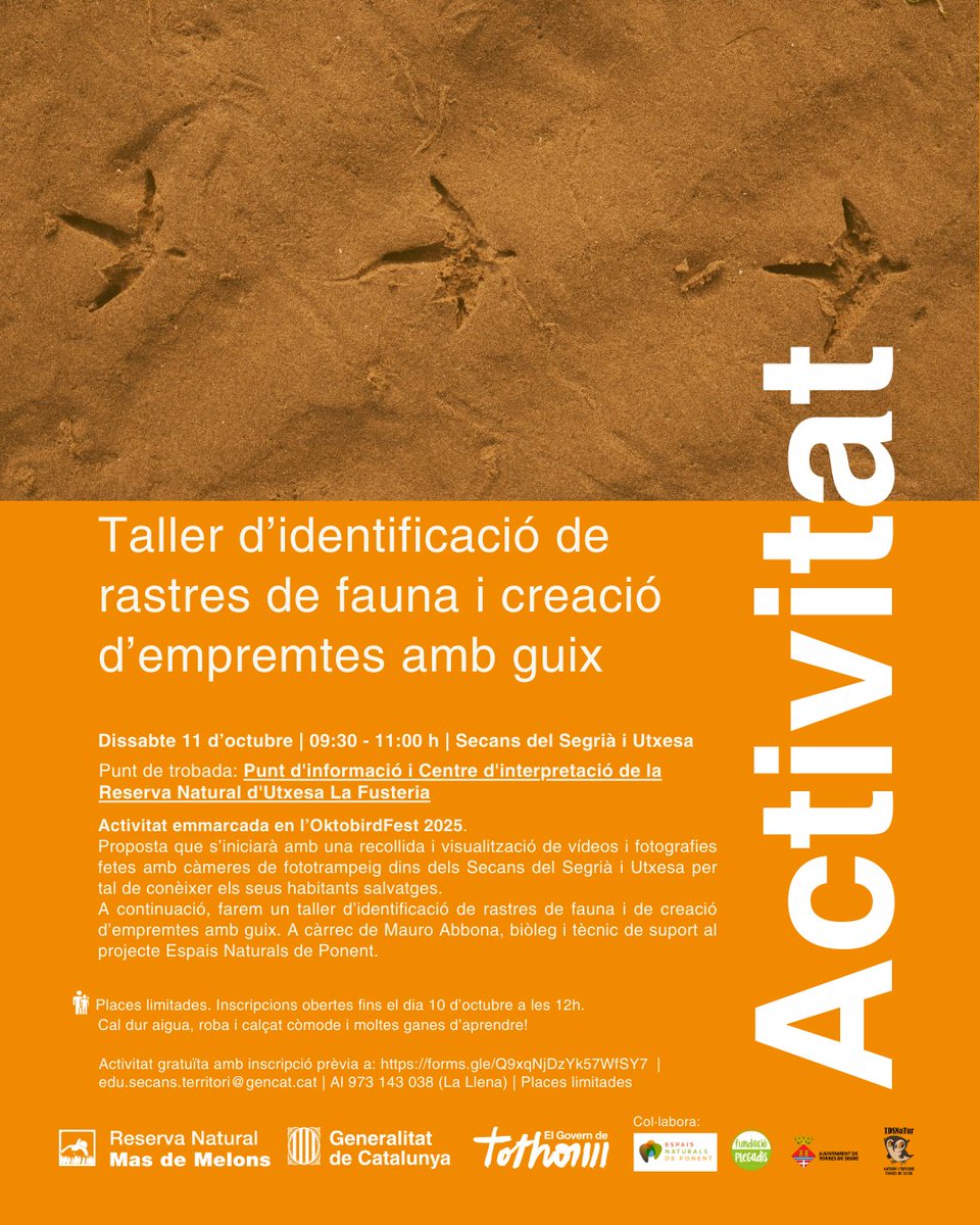 Atenció! Us proposem un taller d'identificació de rastres de fauna i creació d'empremtes amb guix en col·laboració amb l'#oktobirdfest2025 🦢 al Pantà d'Utxesa el proper dissabte 11 d'octubre de 9.30h a 11.00h.

Inscripcions limitades: forms.gle/Q9xqNjDzYk57Wf…