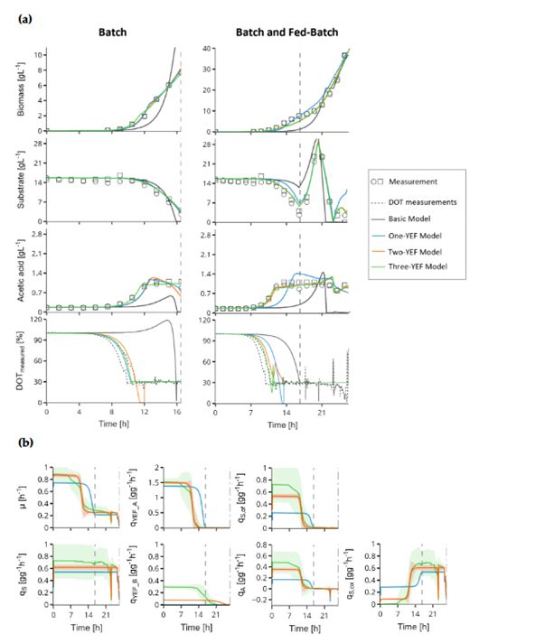BioPATeV's tweet image. 📣 Enjoy reading the new publication by Bioprocess Engineering-@TUBerlin and @KIWI_biolab !

&quot;Modelling of Escherichia coli Batch and Fed-Batch Processes in Semi-Defined Yeast Extract Media&quot; 
👉 mdpi.com/2306-5354/12/1…

#bioprocessdevelopment #mechanisticmodel #bioprocessing