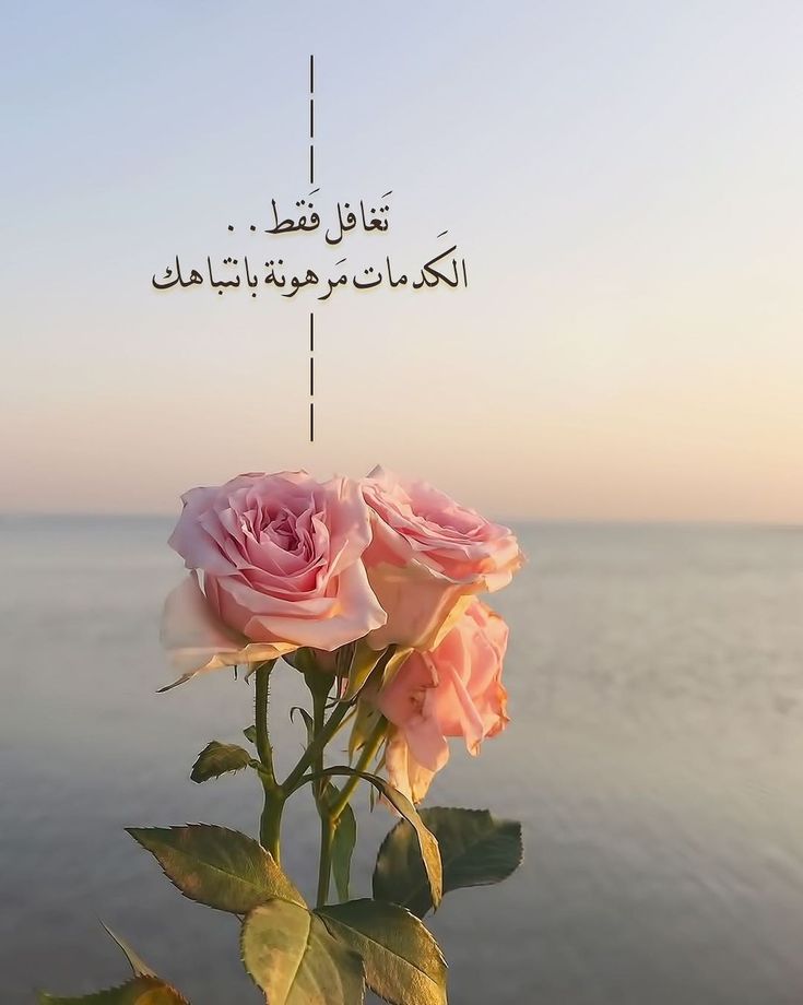 الغرام tweet media