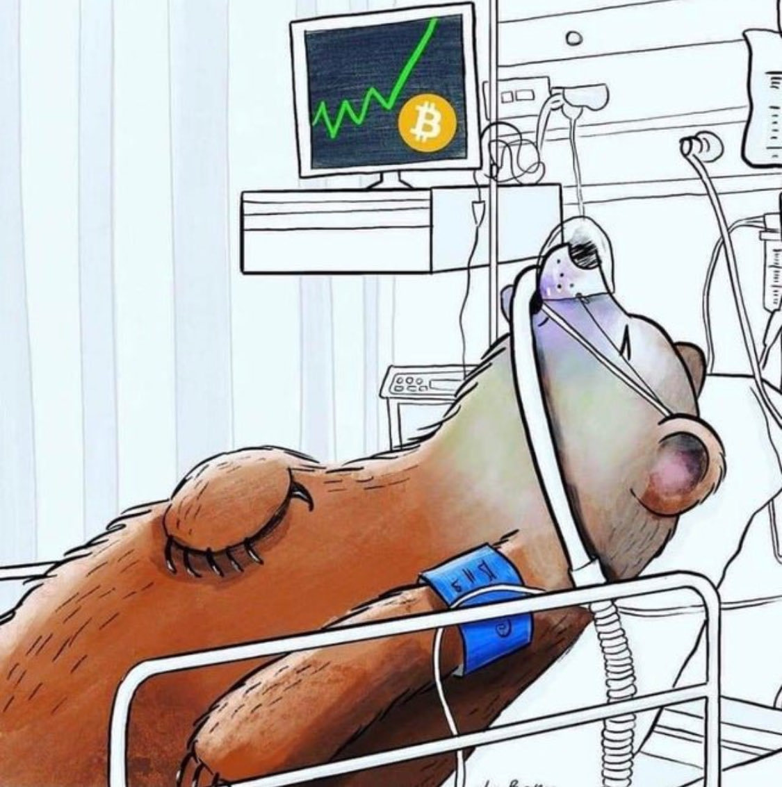 The ₿itcoin Therapist tweet media