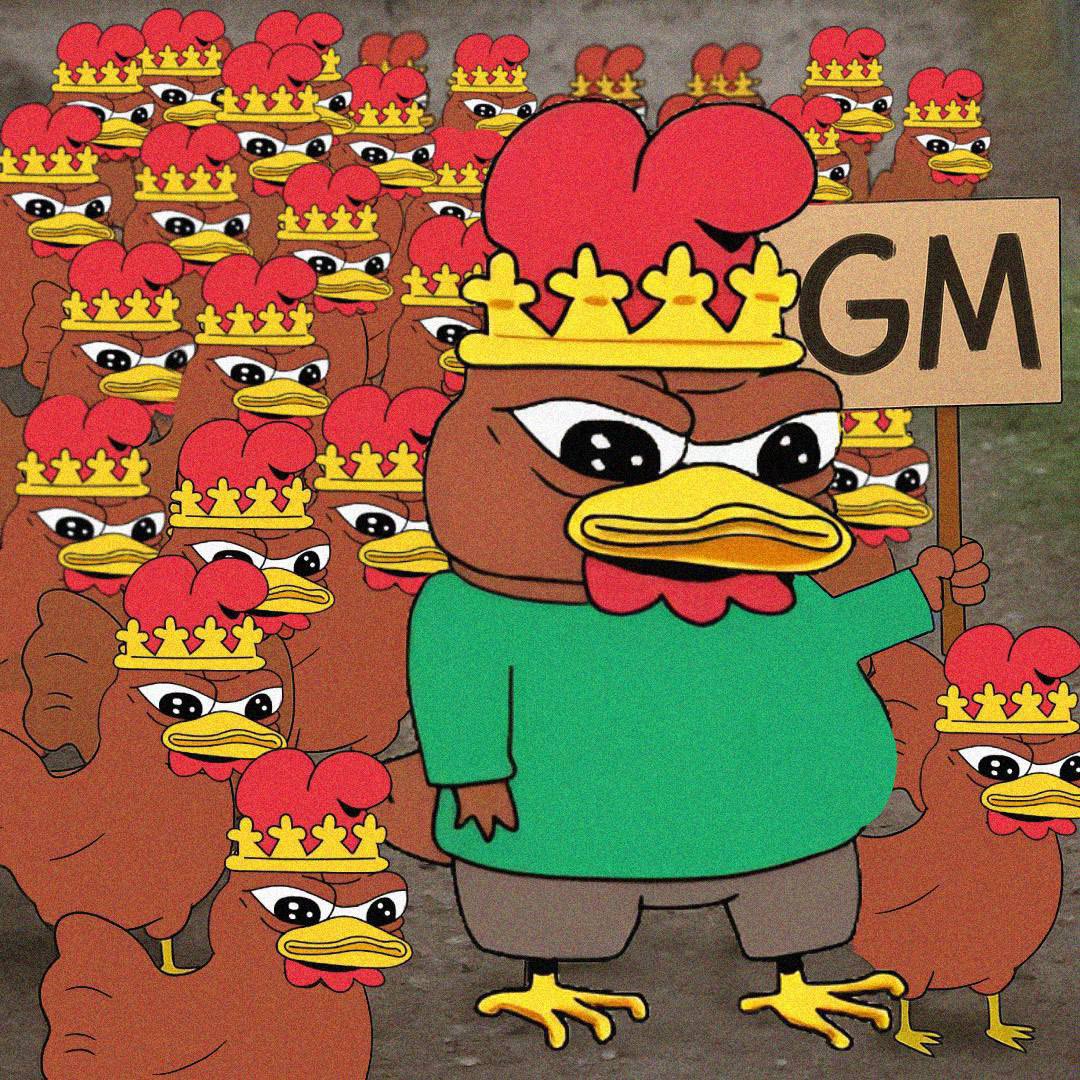 Coq Inu 🐓 tweet media