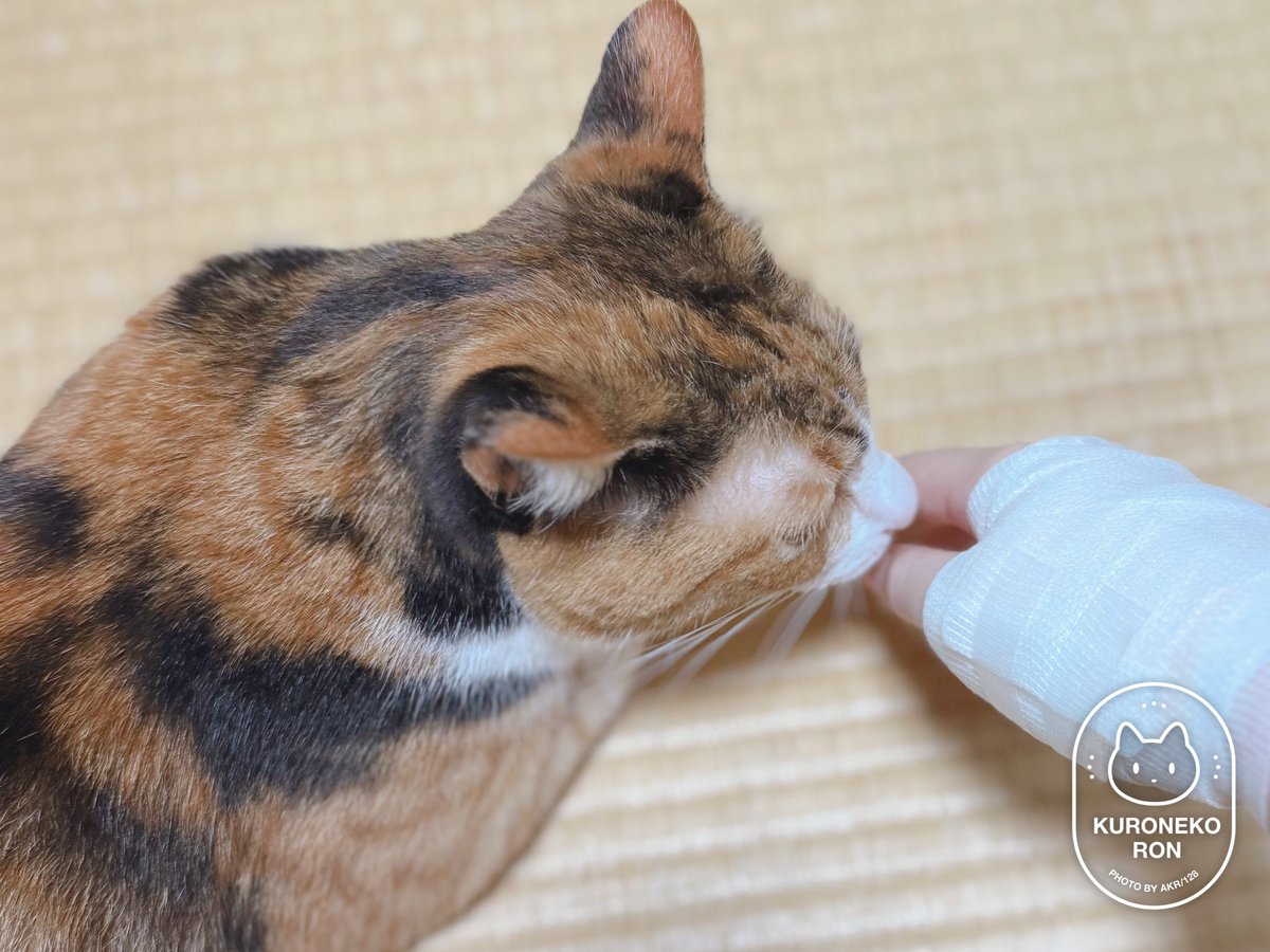 AKR｜7巻でたよ on X