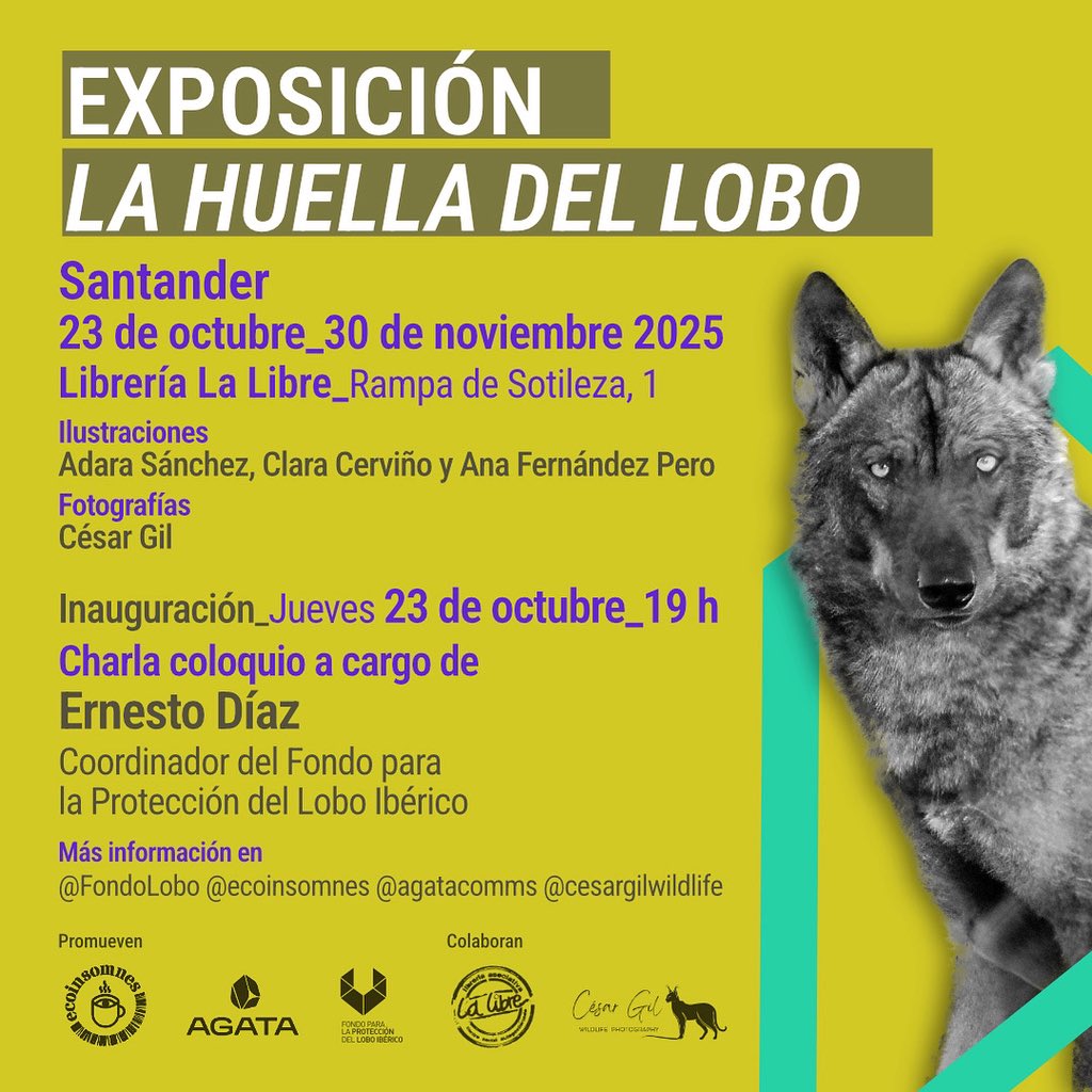 🐺Este mes traemos algo especial con las compas de <a href="/ecoinsomnes/">@ecoinsomnes.bsky.social</a>, <a href="/AgataComms/">Agata Communications</a>, <a href="/cesargilwild/">César Gil | Wildlife Photography</a> y La Libre en Santander.

📸Del 23 de octubre al 30 de noviembre exposición La huella del lobo. Con fotos, ilustraciones e info.

💬Y el 23 a las 19h inauguración y charla.

¡Os esperamos!