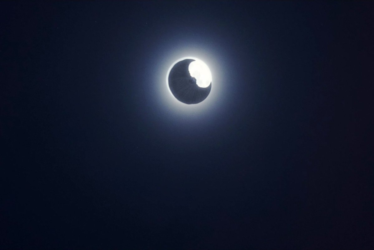 문나이트처럼 풍요로운 한가위 되세요 여러분🤍🌕