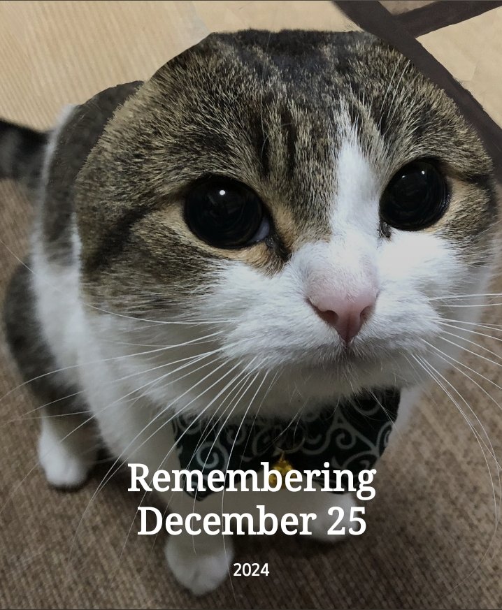 Axolotl_Prod's tweet image. 