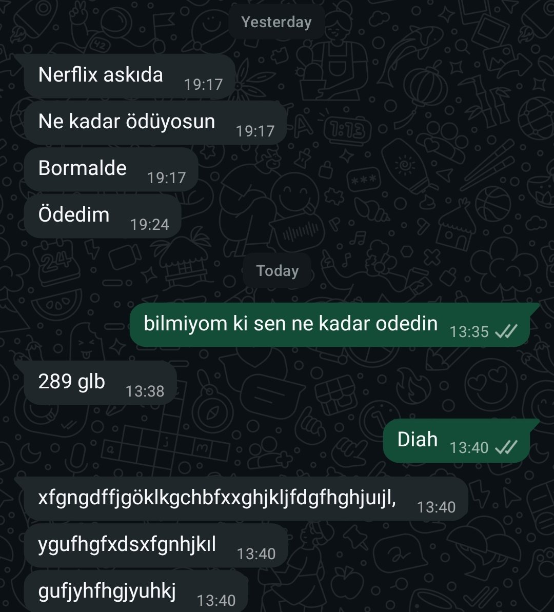 Memleket dili ve edebiyatı