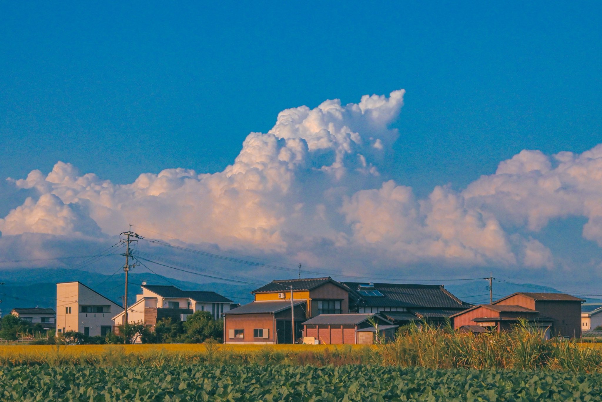 夏の雲 夏の雲 . . GFX50R . . #gfx50r #夏休み #夏 #入道雲 #ジブリ