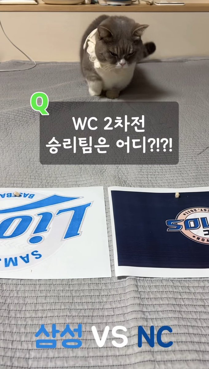 1_stxrr's tweet photo. 만식이 와카2차전 예측도 엔씨 골랐듀아🫳🏻🫳🏻 https://t.co/ucWUJZ8MUh