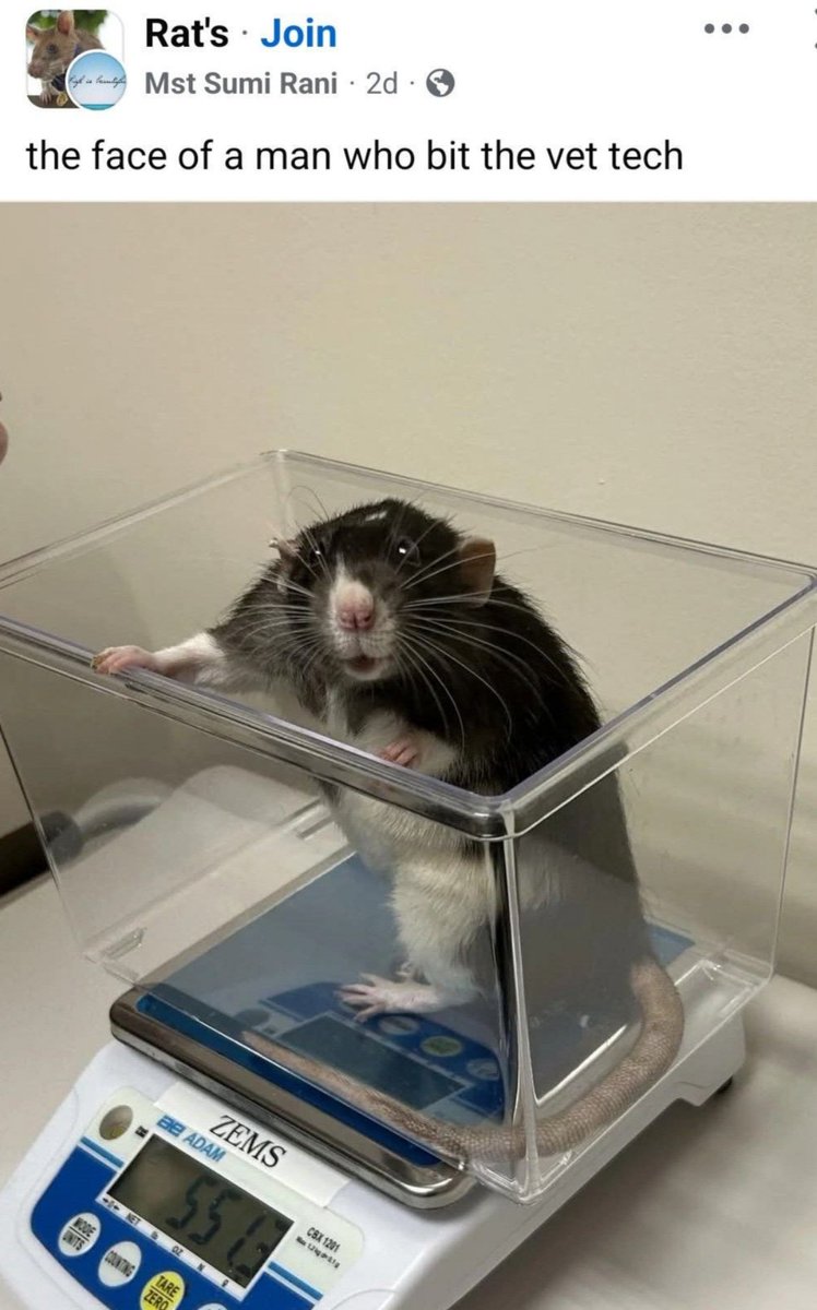 its because u called him fat