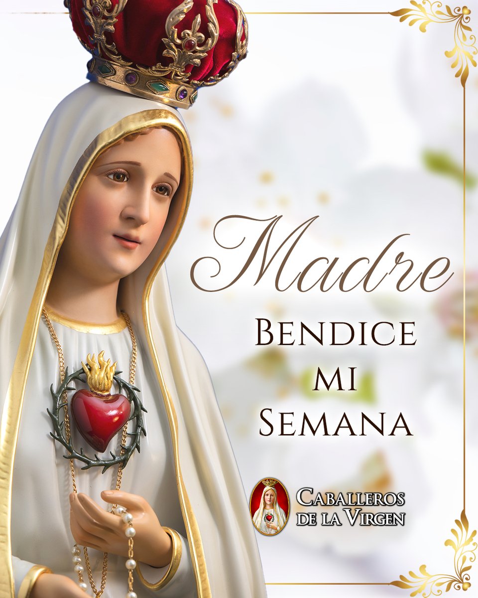Madre Santa, bendice mi semana y guía mis pasos con tu luz maternal. Que cada día florezca en amor, trabajo y fe. Que tus manos sostengan mis decisiones y tu mirada me inspire a servir con humildad. En ti confío, María, refugio de los corazones cansados.