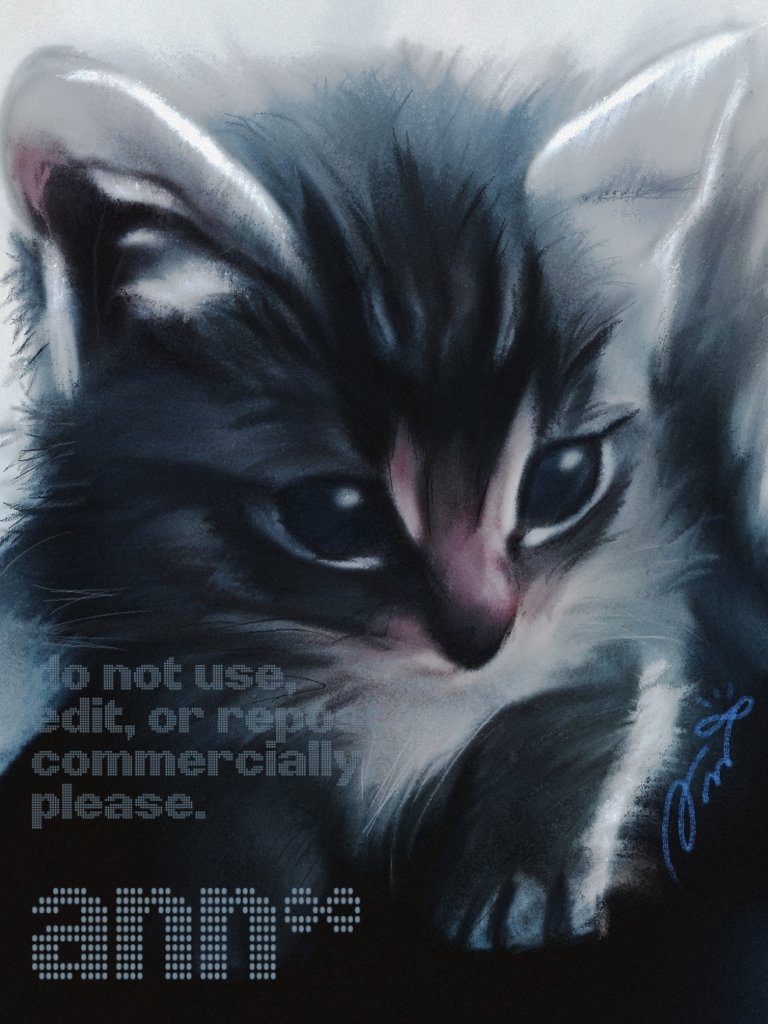 Ann18_vv's tweet photo. 最近描いた
猫ちゃん2匹ฅ(*´꒳`*ฅ)ꪆﾆｬﾝ https://t.co/Hz8IIJMqL1