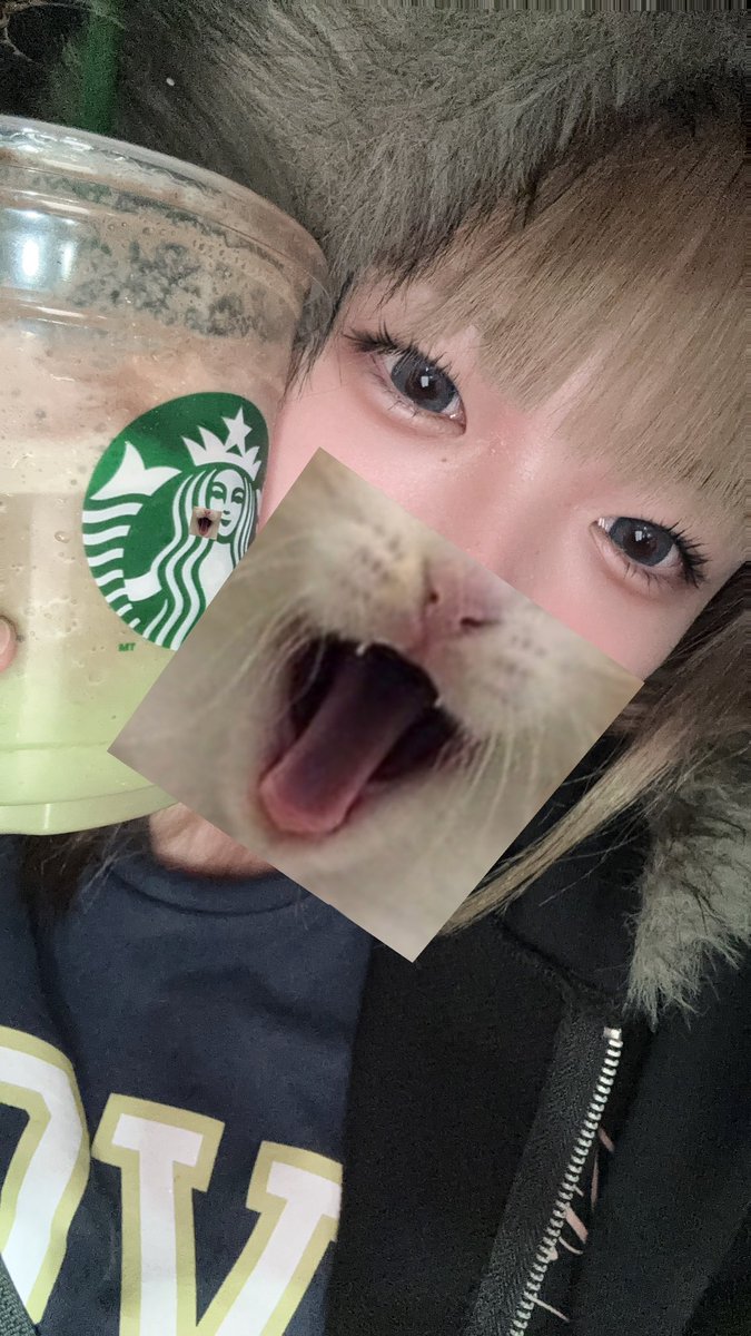same0321sa's tweet photo. まっっちゃふらぺちょこそーす！ https://t.co/SUKiHSIR5k