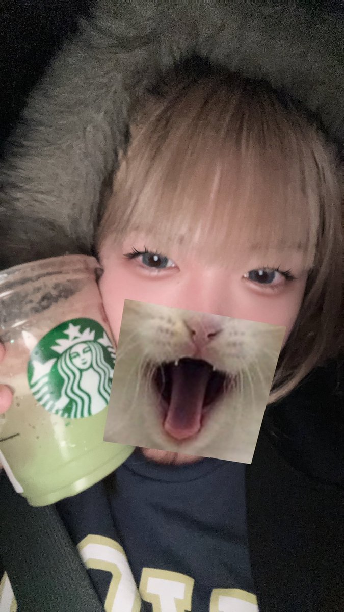 same0321sa's tweet photo. まっっちゃふらぺちょこそーす！ https://t.co/SUKiHSIR5k