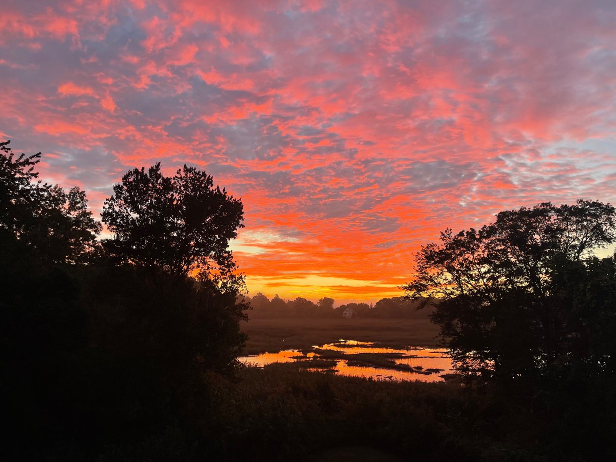 2nd_prototype's tweet image. Good morning. 
Control the things you can control.
Let’s make some money.