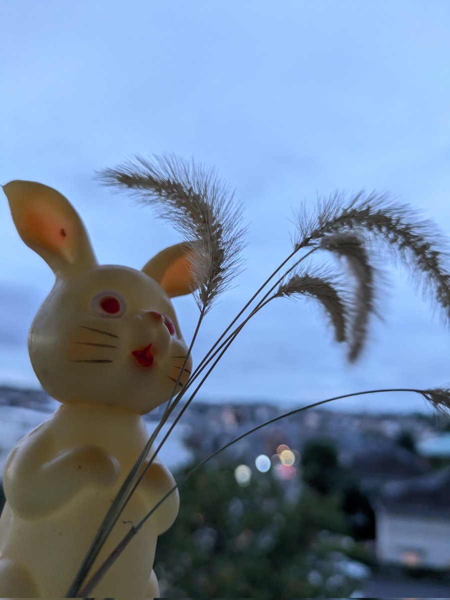 ジャンクショー用務員 tweet media