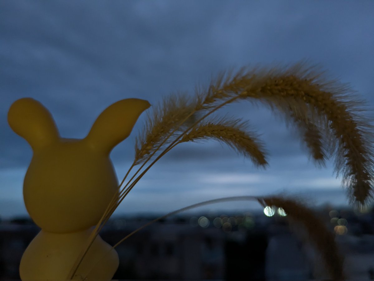 ジャンクショー用務員 tweet media