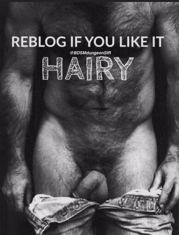 dad_bear_world's tweet photo. You like hairy body? https://t.co/K68sHhQf9r