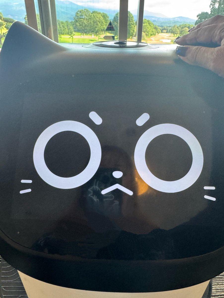 ushi11172017's tweet image. ⛳️今日のゴルフ場レストランで出会ったネコ型配膳ロボット🐱ベラボット🐱
頭をなでたら「撫でてくれてありがとう！」って言われてほっこり💕
調子に乗って撫でまくったら…
「もうやめて！」ってキレられたw

#ゴルフ #Bot #ほっこり体験