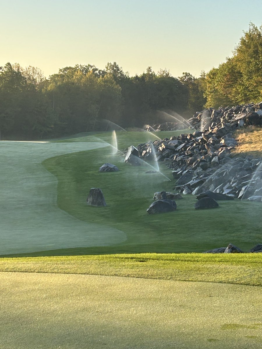 phil@belgrade tweet media