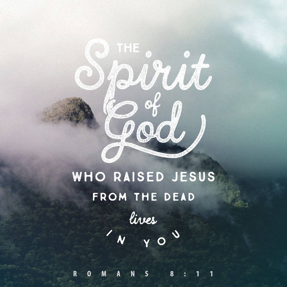 bible.com/verse-of-the-d…