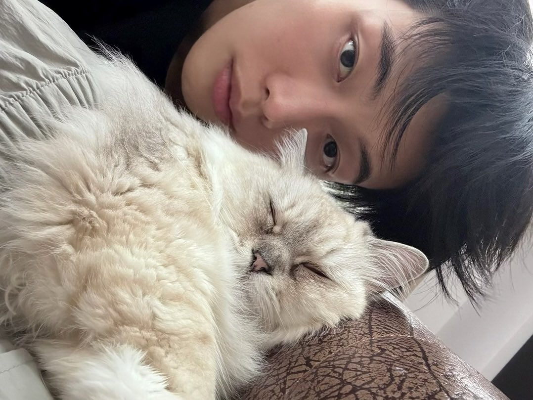 musejjun's tweet photo. https://t.co/tubQhoxE3E