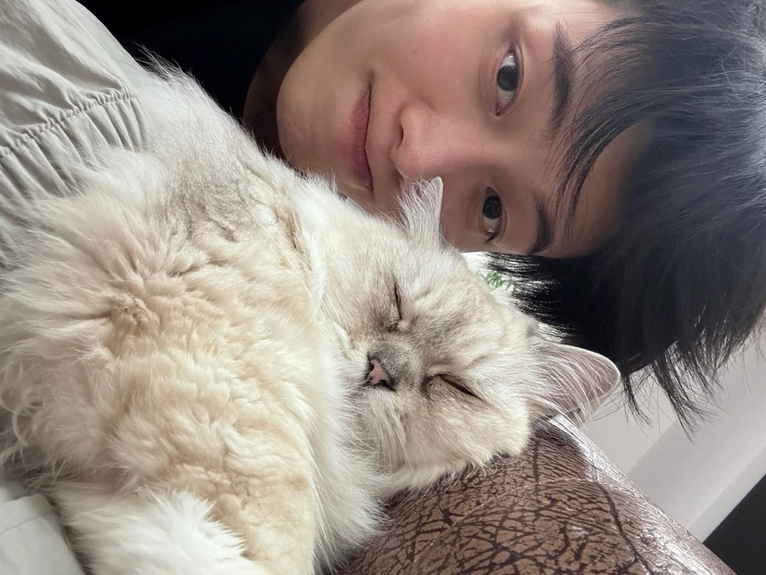 choipolar_421's tweet photo. 하진쟈 눈물텨날거같네
너무너무보고싶엇고너무너주보고싶엇어요 https://t.co/4UC39kEoAK