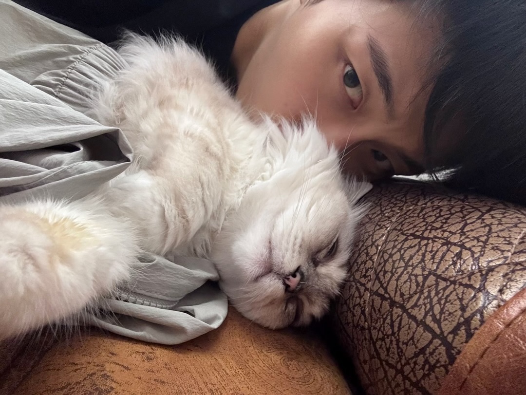 choipolar_421's tweet photo. 하진쟈 눈물텨날거같네
너무너무보고싶엇고너무너주보고싶엇어요 https://t.co/4UC39kEoAK