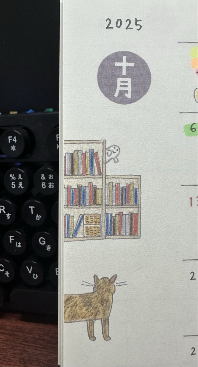 手帳の今月のイラスト可愛い👻🐈
(毎月可愛い)