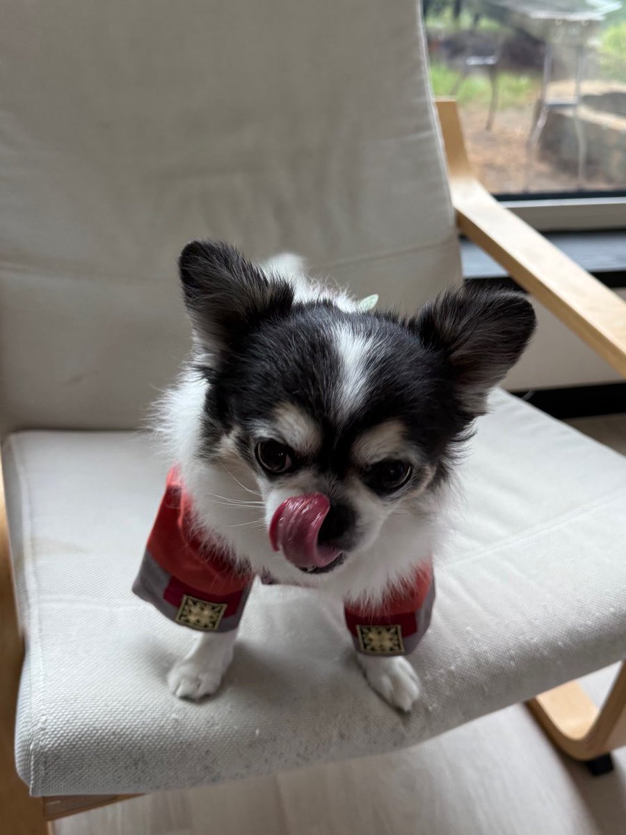 hyunjin pics tweet media