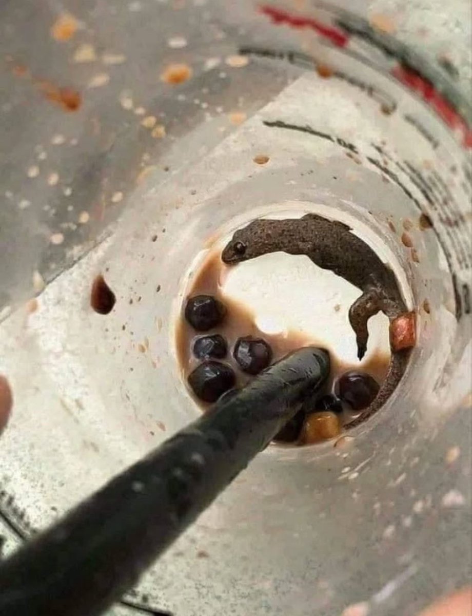 Koding_Deep's tweet image. Mere Boba m ye kya agya😣