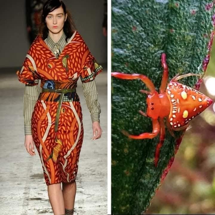 (Cianci Ulises) (@cianciulises) on Twitter photo 