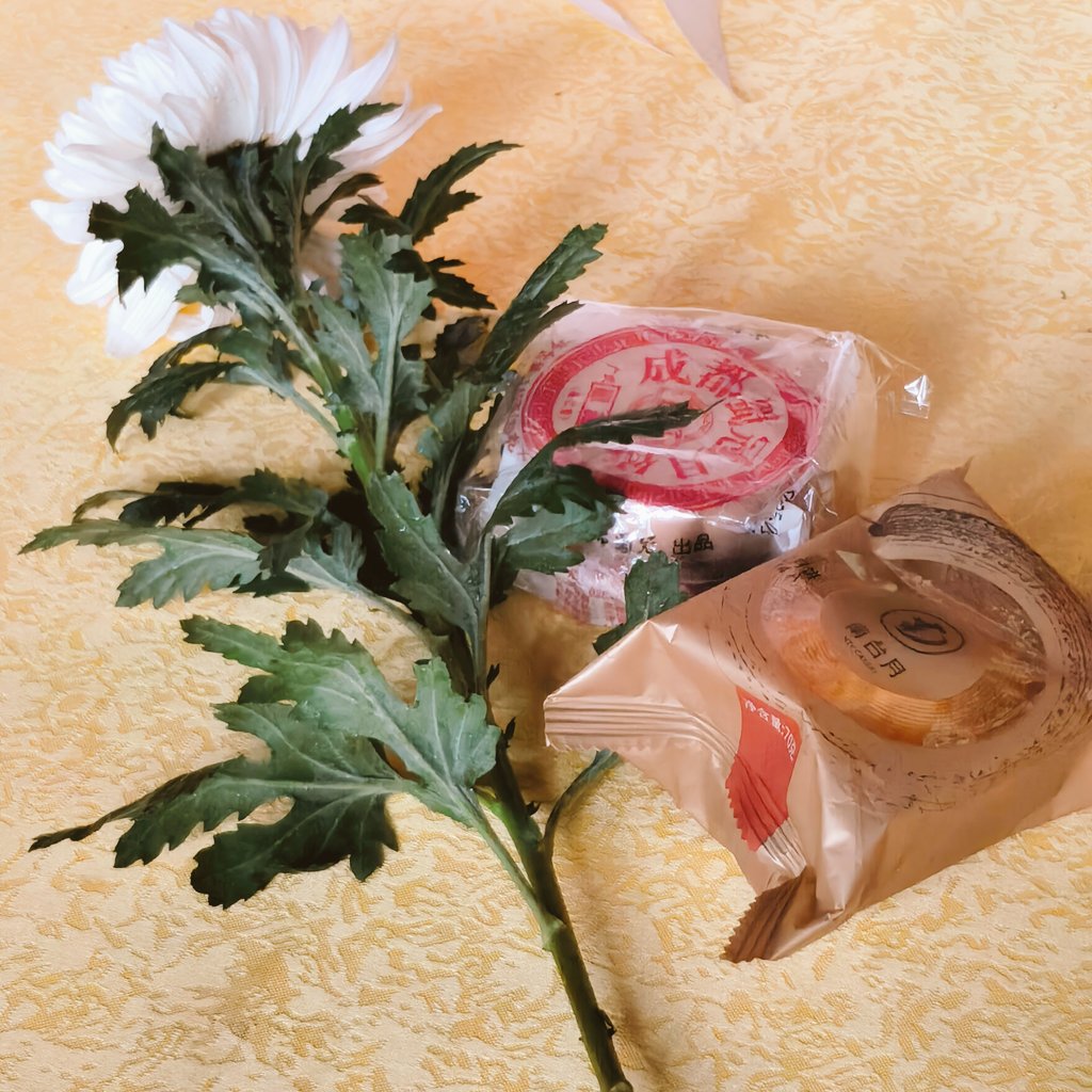 中秋節快楽！ 🌕

昨日は孔明が眠る武侯墓に訪ねに、陝西省漢中市の勉県へ。丞相が亡くなったのは、1791年前の中秋節の直後だから、成都から月餅を持っていって丞相に供えました。🥮

#武侯墓 #武侯祠