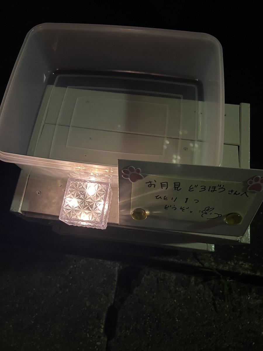 てんちゃん🐾 (@youme1056) / Posts / X