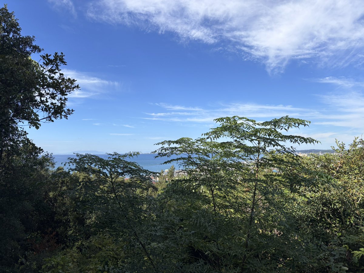 知多半島ってなんかいいよね
東海版湘南って感じ