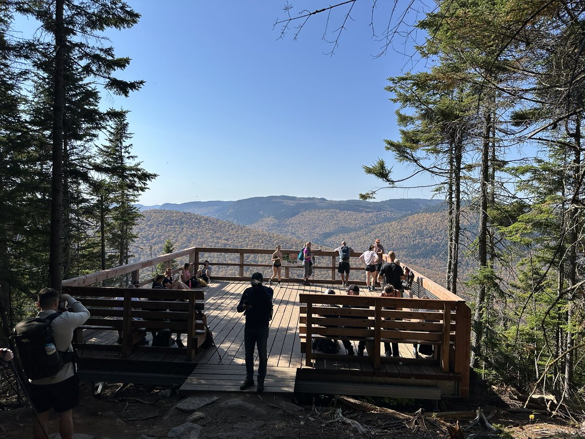 Mike Ianni-Palarchio tweet media