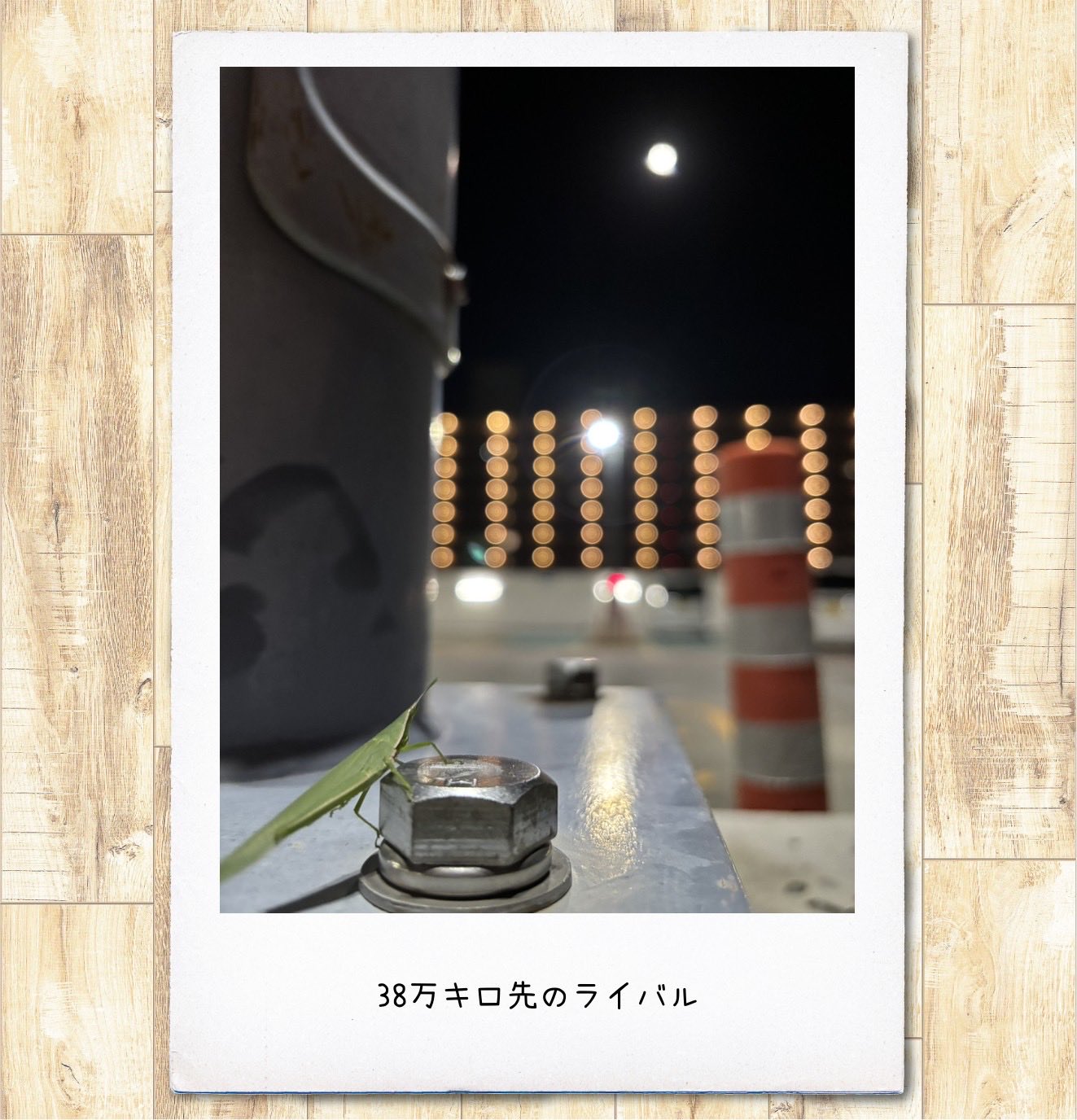 小説　写真確認用 河野裕（文章の方） (@konoyutaka) / X