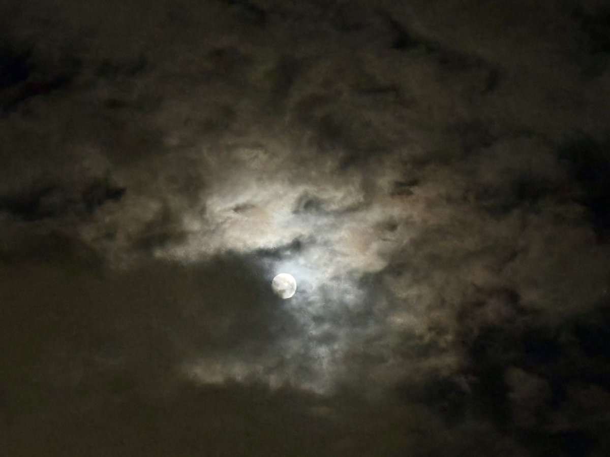 中秋の名月
雲が多くて残念