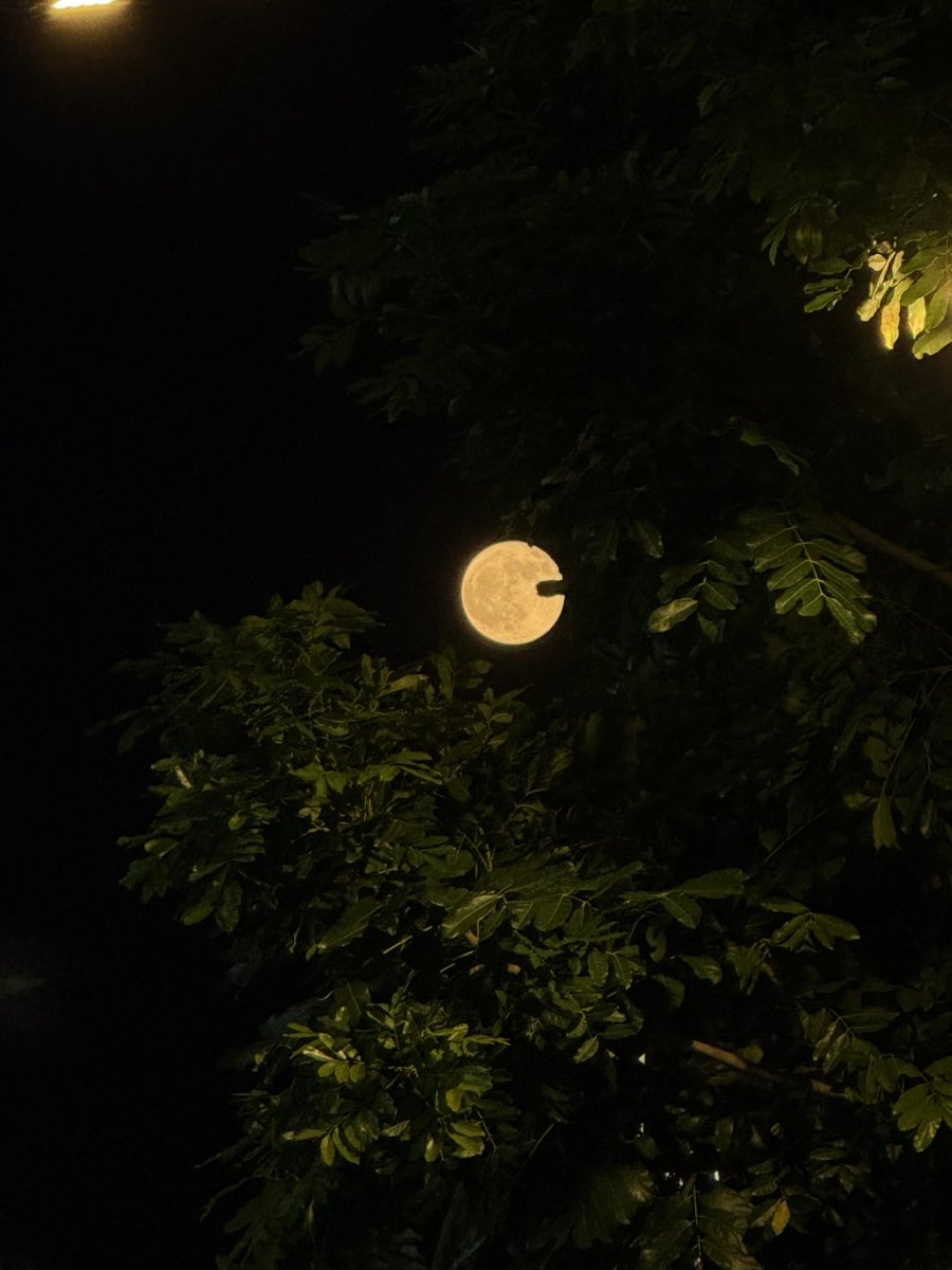 私たちは一緒にいないけど、今夜と明日の夜に見るのは同じ月だよ🌕。  
大きくてまんまるな月が、私の心からの祝福を届けてくれますように。