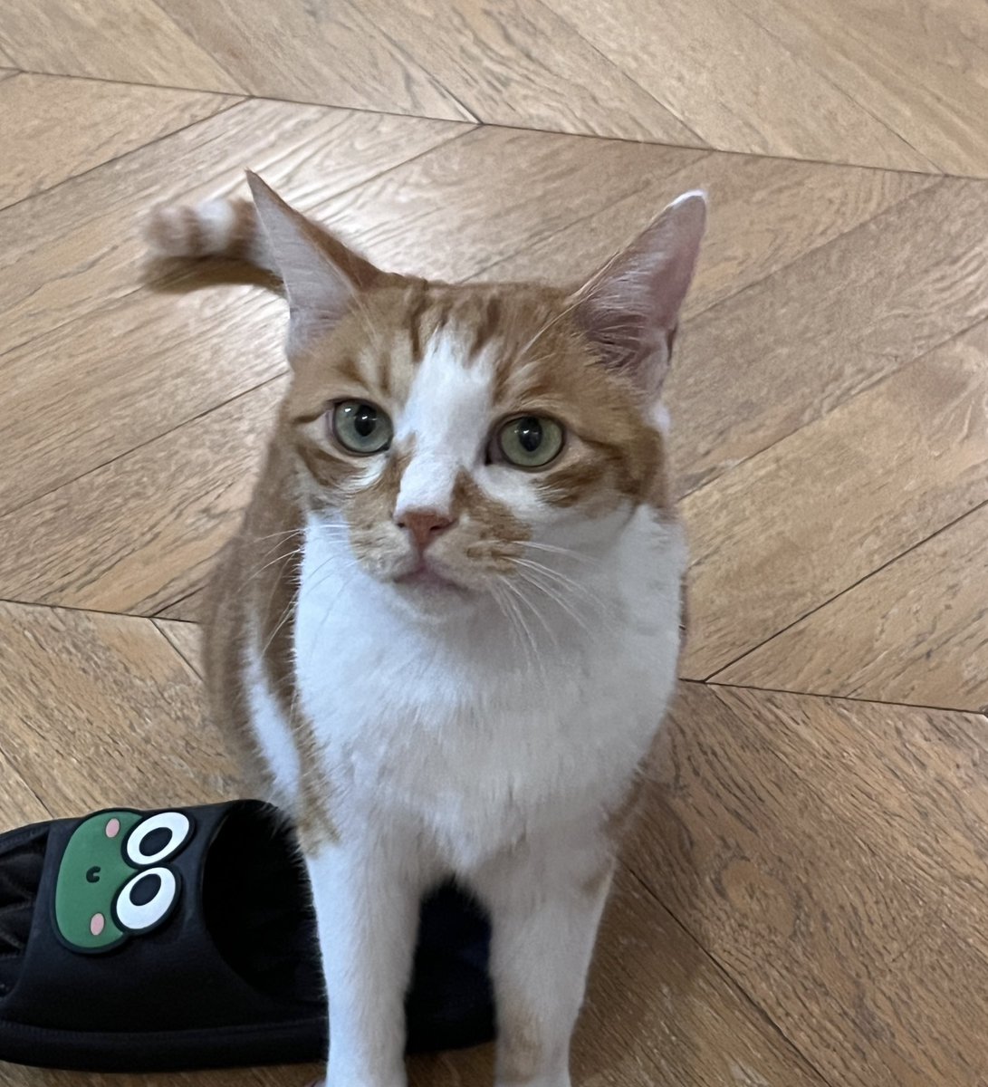 季夏 (@yetianlidong) on Twitter photo 