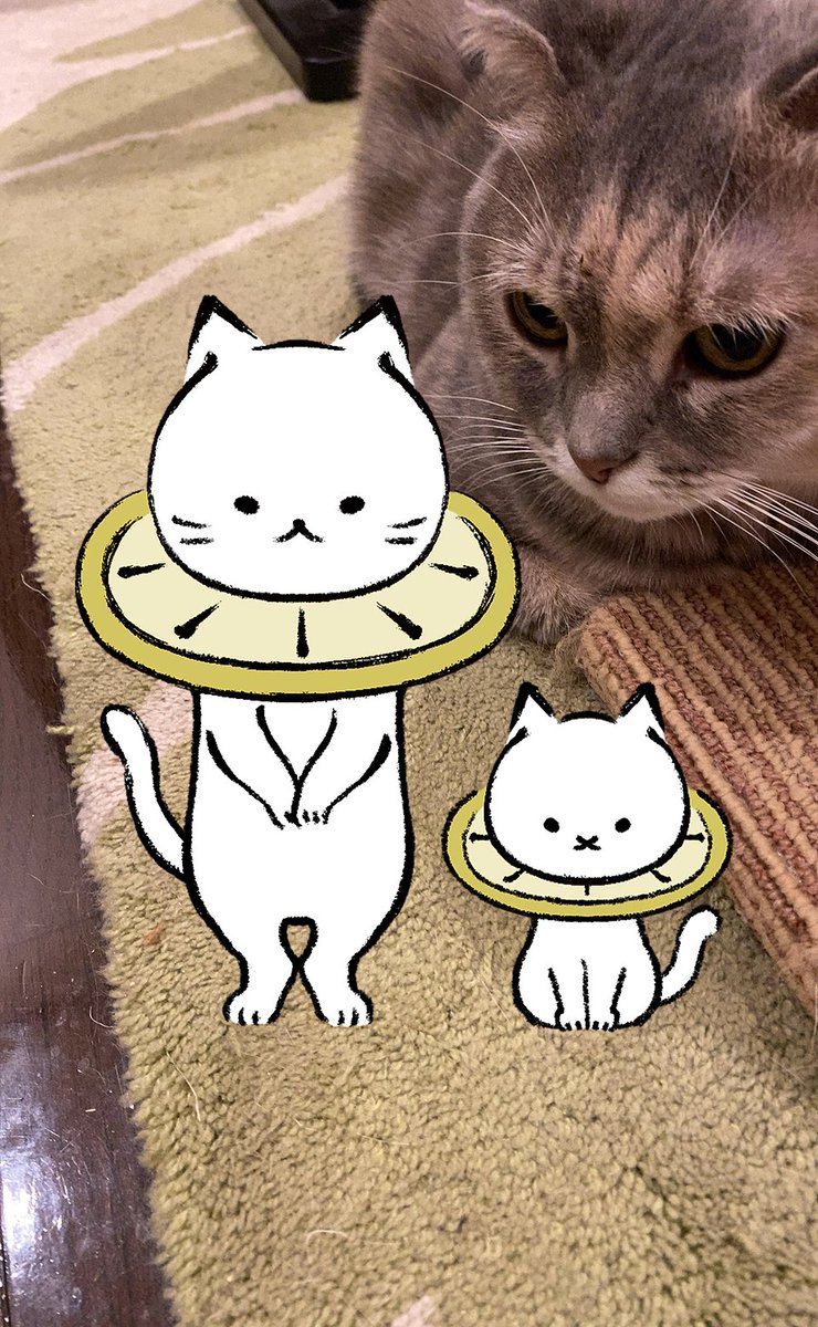 mikuni33's tweet image. れもねこをみるネコチャン

#れもねことお出かけ
#上白石萌音
#lemonedo