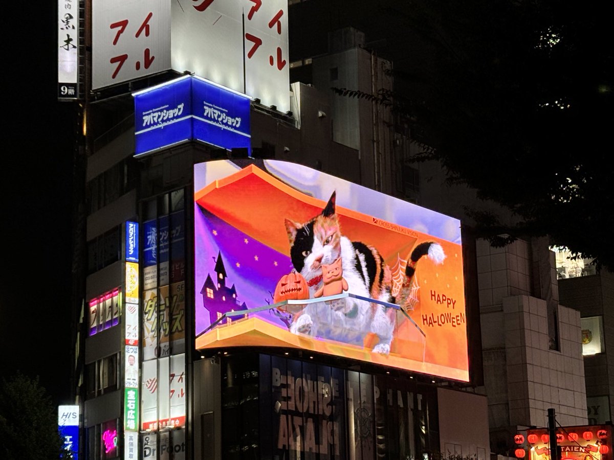 初めて見た〜