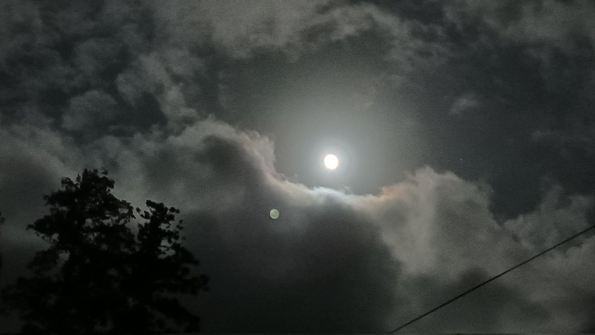 今夜は「中秋の名月」だとか。急に思い出して表に出てみた。
流れる雲の間から見えるまんまるお月様の方が風情あって良いものです。