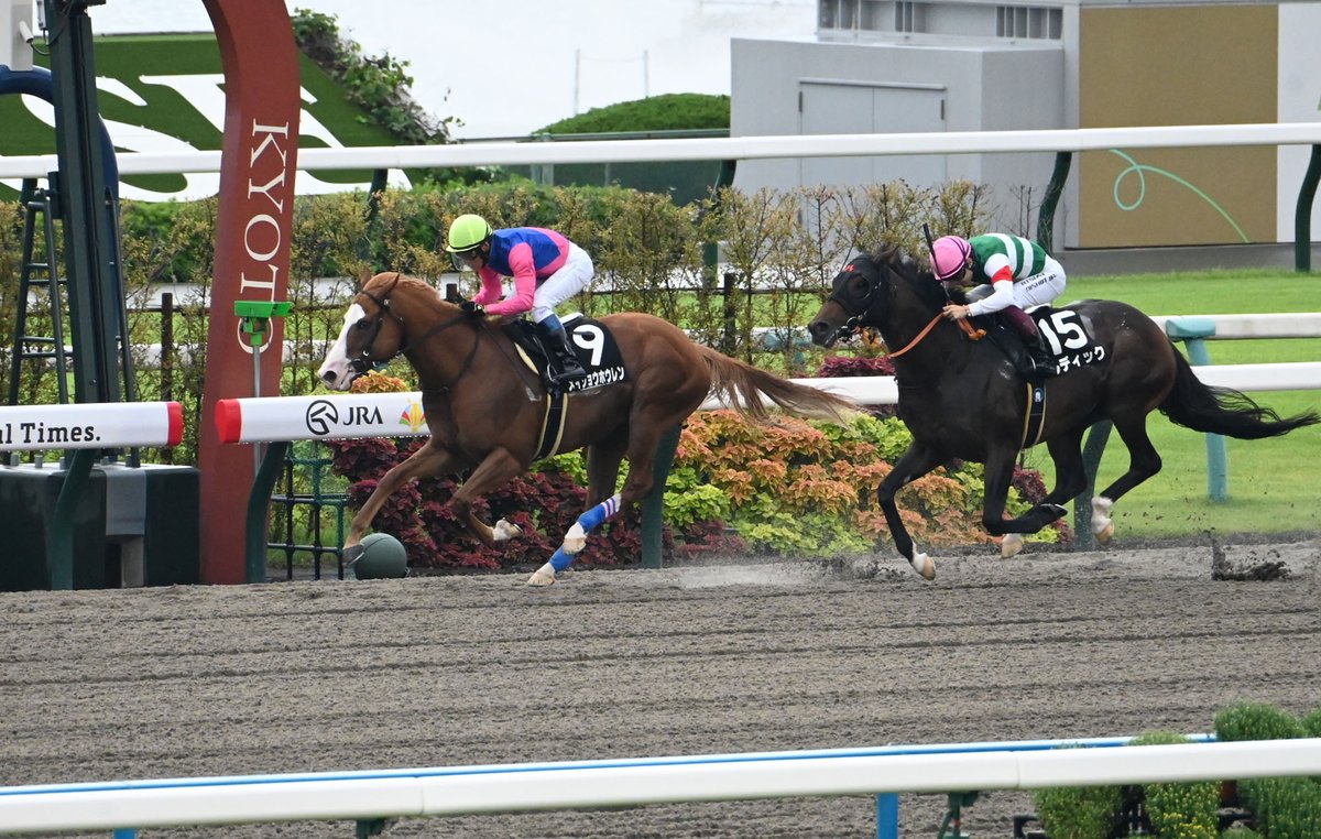 サウンドビバーチェ　実使用ゼッケン 　ターコイズS（G3）浜中俊騎乗 サウンドビバーチェ 実使用ゼッケン ターコイズS（G3）浜中俊