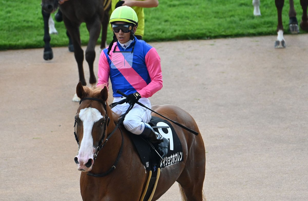 サウンドビバーチェ　実使用ゼッケン 　ターコイズS（G3）浜中俊騎乗 サウンドビバーチェ 実使用ゼッケン ターコイズS（G3）浜中俊