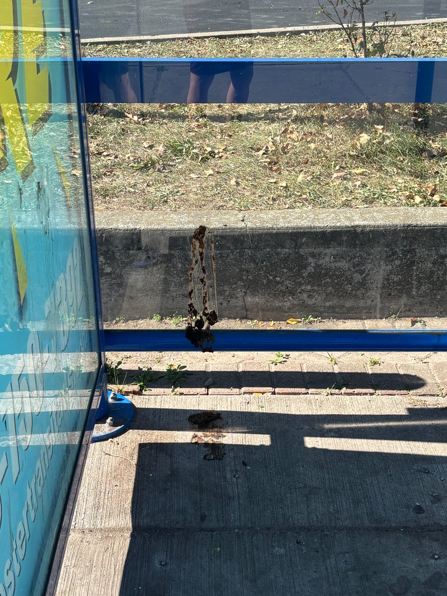 April Foreman tweet media