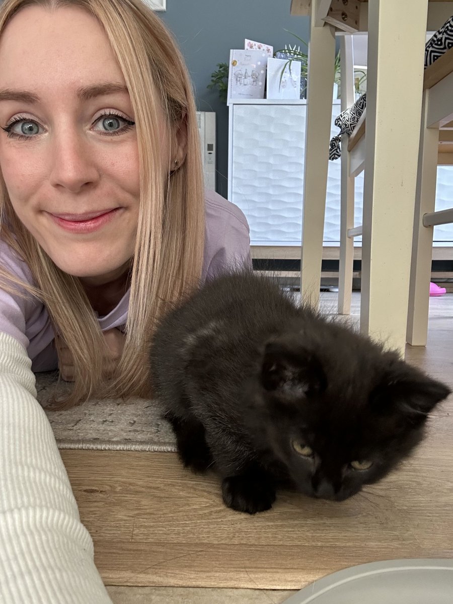 LIVE for the Mental Illness Awareness Week raid train! 🚂💚
Kitten therapy and mental health chat!🐈‍⬛🤗
(It's so hard taking a photo with a kitten OMG)💀

Raising money for <a href="/TWLOHA/">TWLOHA</a>! 💜

🟣🔴🔗👇

#mentalhealth #charity #stream #kitten #kittens #voidkitty