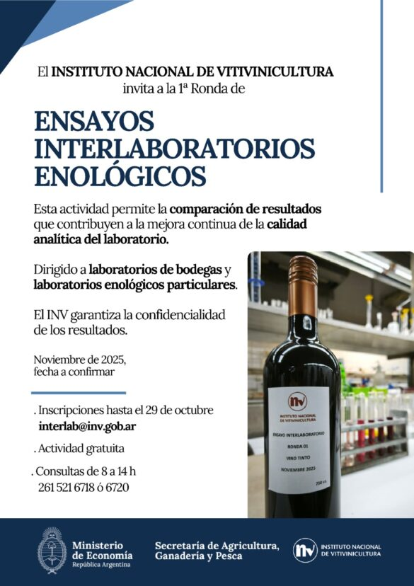 Punto Vid tweet media
