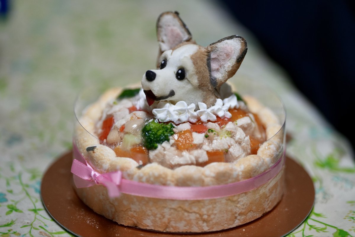 愛犬への親バカが止まりません!