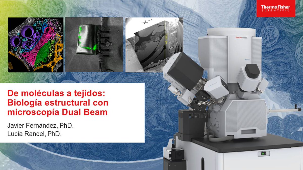 IPBLN-CSIC tweet media