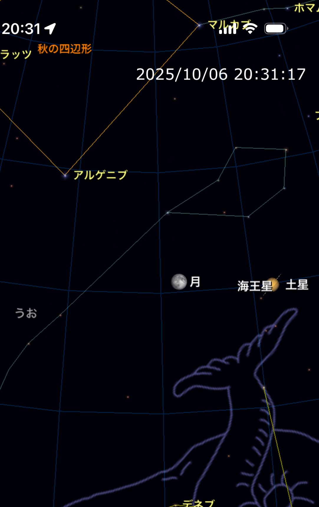 土星とメランコリー 土星とメランコリー : 自然哲学、宗教、芸術の歴史における研究
